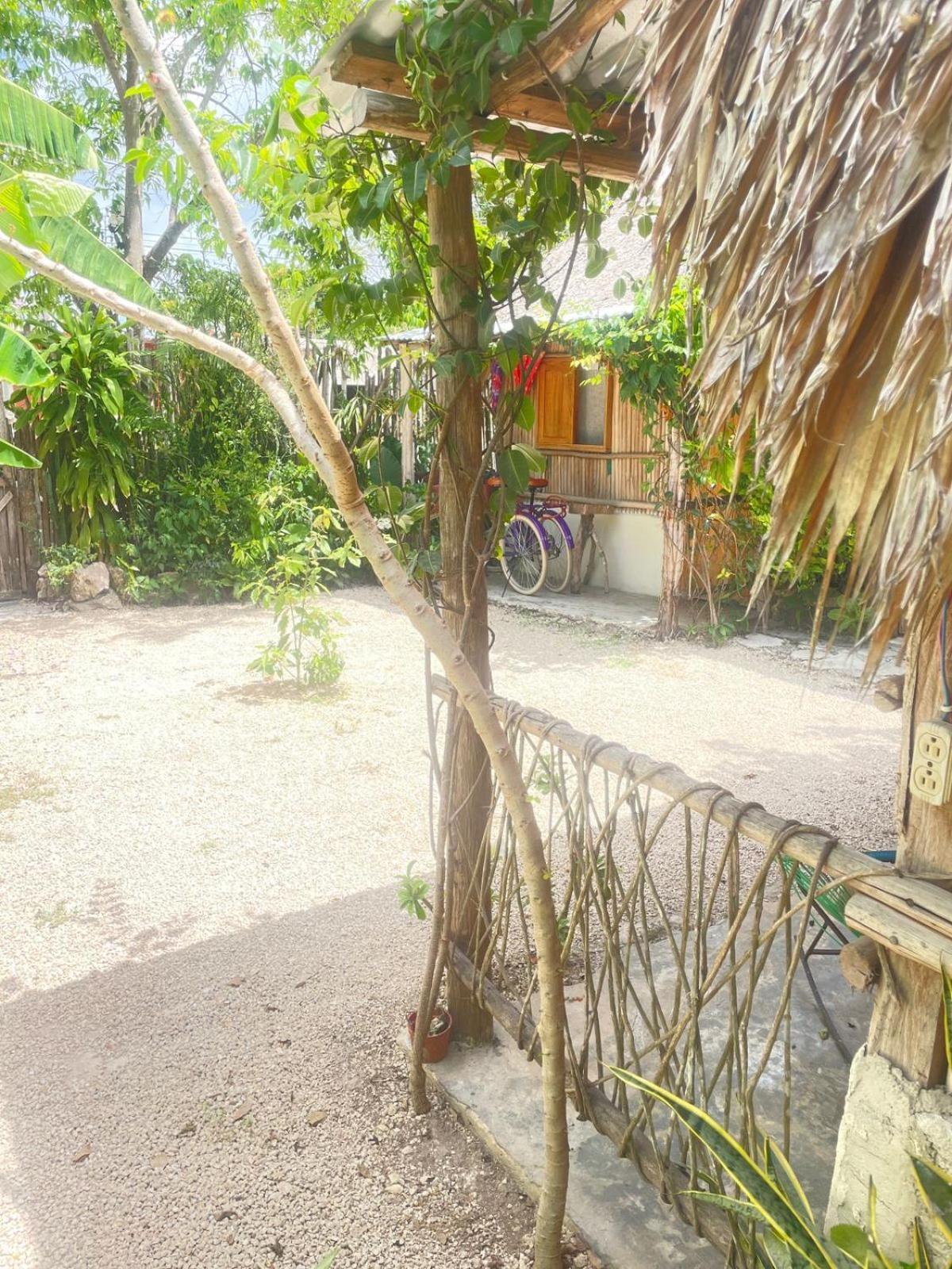 Cabanas Alma Verde Bacalar Buitenkant foto